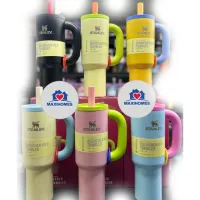 Paquete de 10 Termos Stanley macaron pastel con agarradera 40 oz